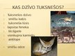 Prezentācija 'Tuksneši', 4.