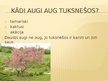 Prezentācija 'Tuksneši', 5.