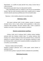 Konspekts 'Mārketinga attīstība', 6.