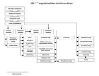 Referāts 'SIA personālvadības plāns', 5.