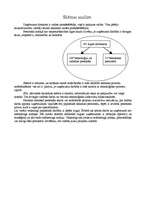 Referāts 'SIA personālvadības plāns', 6.