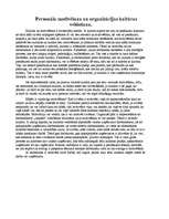 Referāts 'SIA personālvadības plāns', 12.