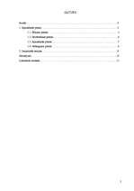 Referāts 'Gadījuma analīze sociālajā darbā', 2.