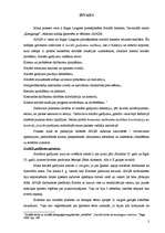 Referāts 'Gadījuma analīze sociālajā darbā', 3.