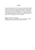 Referāts 'Civilās aizsardzības plāns', 3.