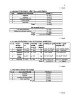 Biznesa plāns 'SIA "Lapsu ala"', 12.