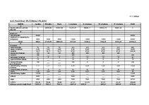 Biznesa plāns 'SIA "Lapsu ala"', 17.