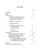 Biznesa plāns 'SIA "Roteiro"', 1.