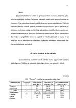 Biznesa plāns 'SIA "Roteiro"', 11.