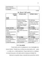 Biznesa plāns 'SIA "Roteiro"', 20.