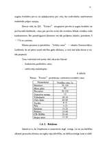 Biznesa plāns 'SIA "Roteiro"', 21.