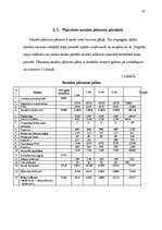 Biznesa plāns 'SIA "Roteiro"', 29.