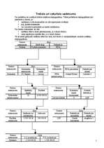 Referāts 'Mākslīgā intelekta pamati', 5.