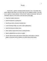 Biznesa plāns 'SIA “Flower Paradise” biznesa plāns', 3.