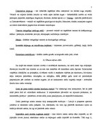 Biznesa plāns 'SIA “Flower Paradise” biznesa plāns', 7.