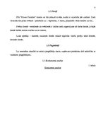 Biznesa plāns 'SIA “Flower Paradise” biznesa plāns', 9.