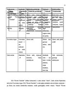 Biznesa plāns 'SIA “Flower Paradise” biznesa plāns', 10.