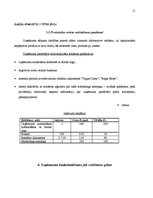 Biznesa plāns 'SIA “Flower Paradise” biznesa plāns', 15.