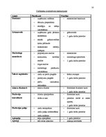 Biznesa plāns 'SIA “Flower Paradise” biznesa plāns', 20.