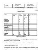 Biznesa plāns 'SIA “Flower Paradise” biznesa plāns', 21.