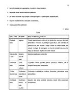 Biznesa plāns 'SIA “Flower Paradise” biznesa plāns', 22.