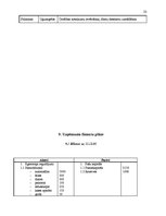 Biznesa plāns 'SIA “Flower Paradise” biznesa plāns', 23.