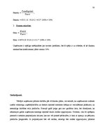 Biznesa plāns 'SIA “Flower Paradise” biznesa plāns', 30.