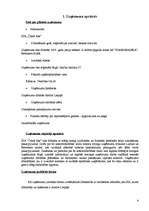 Biznesa plāns 'Biznesa plāns uzkopšanas servisam', 2.