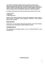 Biznesa plāns 'Biznesa plāns uzkopšanas servisam', 7.