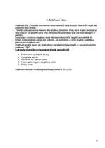 Biznesa plāns 'Biznesa plāns uzkopšanas servisam', 10.