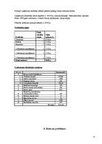 Biznesa plāns 'Biznesa plāns uzkopšanas servisam', 14.