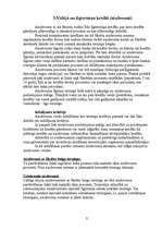 Referāts 'Banku kredītu veidi', 5.