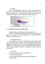 Prakses atskaite 'Mārketinga plāns SIA "MMM" - specializācija: datoru un biroja tehnikas tirdzniec', 16.