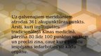 Prezentācija 'Akupunktūra', 5.