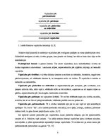 Referāts 'Klientu vajadzību izpētes process SIA "Multimark" uzņēmumā', 8.