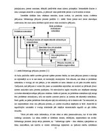 Referāts 'Klientu vajadzību izpētes process SIA "Multimark" uzņēmumā', 12.