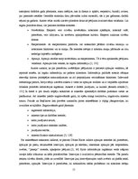 Referāts 'Klientu vajadzību izpētes process SIA "Multimark" uzņēmumā', 15.