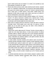 Referāts 'Klientu vajadzību izpētes process SIA "Multimark" uzņēmumā', 30.