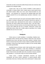 Referāts 'Kultūras resursu izmantošana uzņēmējdarbībā', 7.
