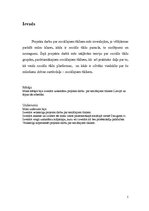 Referāts 'Sociālie tīkli', 5.