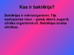 Prezentācija 'Baktērijas', 3.