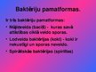 Prezentācija 'Baktērijas', 4.