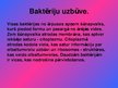 Prezentācija 'Baktērijas', 11.