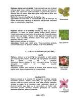 Referāts 'Augu kaitēkļi un slimības, to apkarošana', 6.