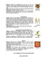 Referāts 'Augu kaitēkļi un slimības, to apkarošana', 7.