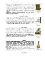 Referāts 'Augu kaitēkļi un slimības, to apkarošana', 8.