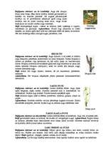 Referāts 'Augu kaitēkļi un slimības, to apkarošana', 9.