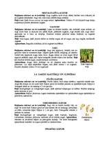 Referāts 'Augu kaitēkļi un slimības, to apkarošana', 10.