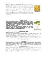 Referāts 'Augu kaitēkļi un slimības, to apkarošana', 11.