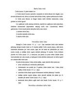 Referāts 'Darba laika veidi', 2.